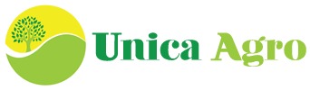 Logo 3 Unica